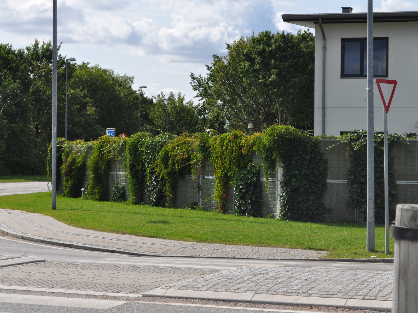 laermschutz noistop pflanzen